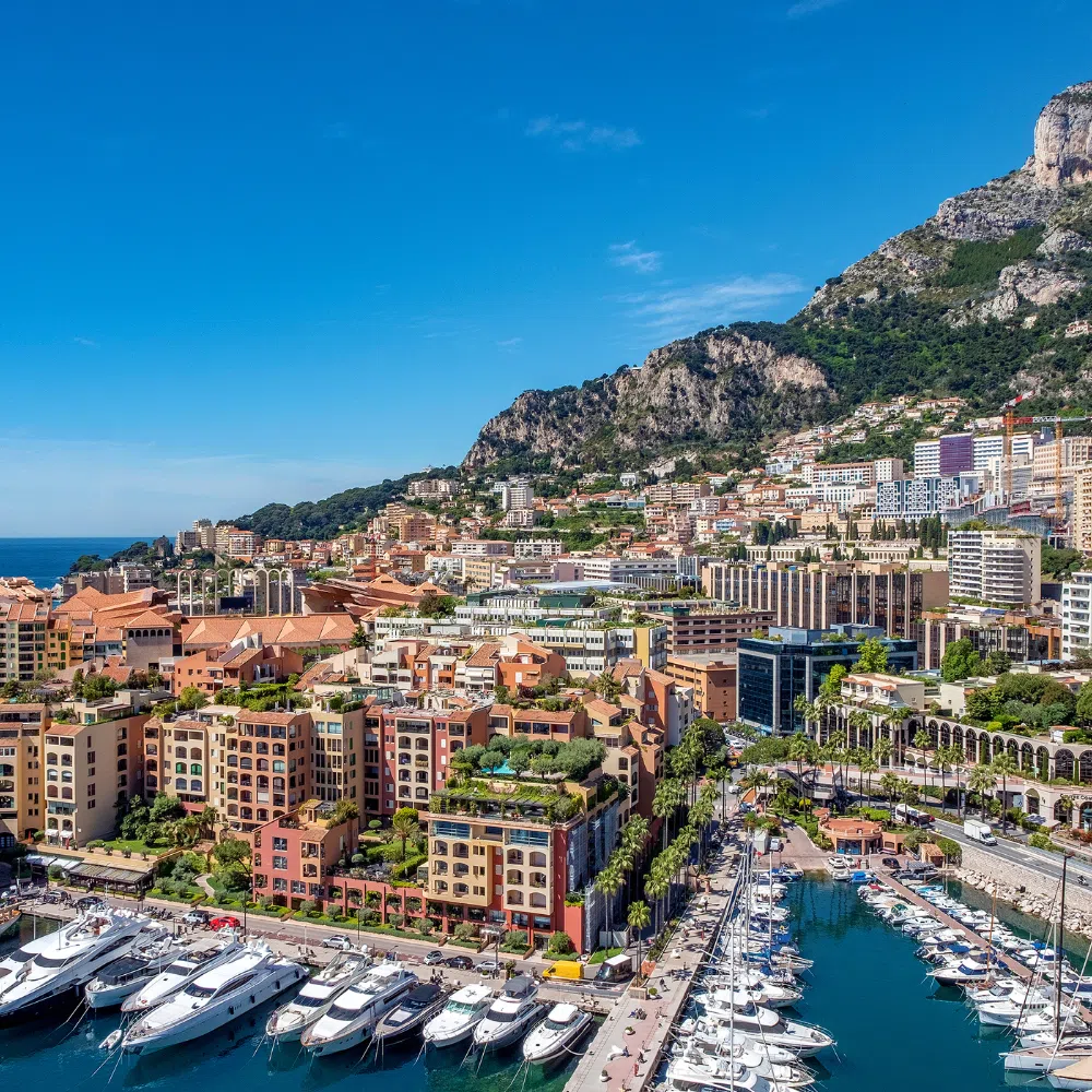Monaco Residency Application